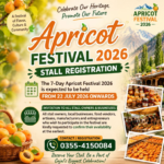 Gulmit Apricot Festival