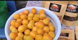 Gulmit Apricot Festival Ends